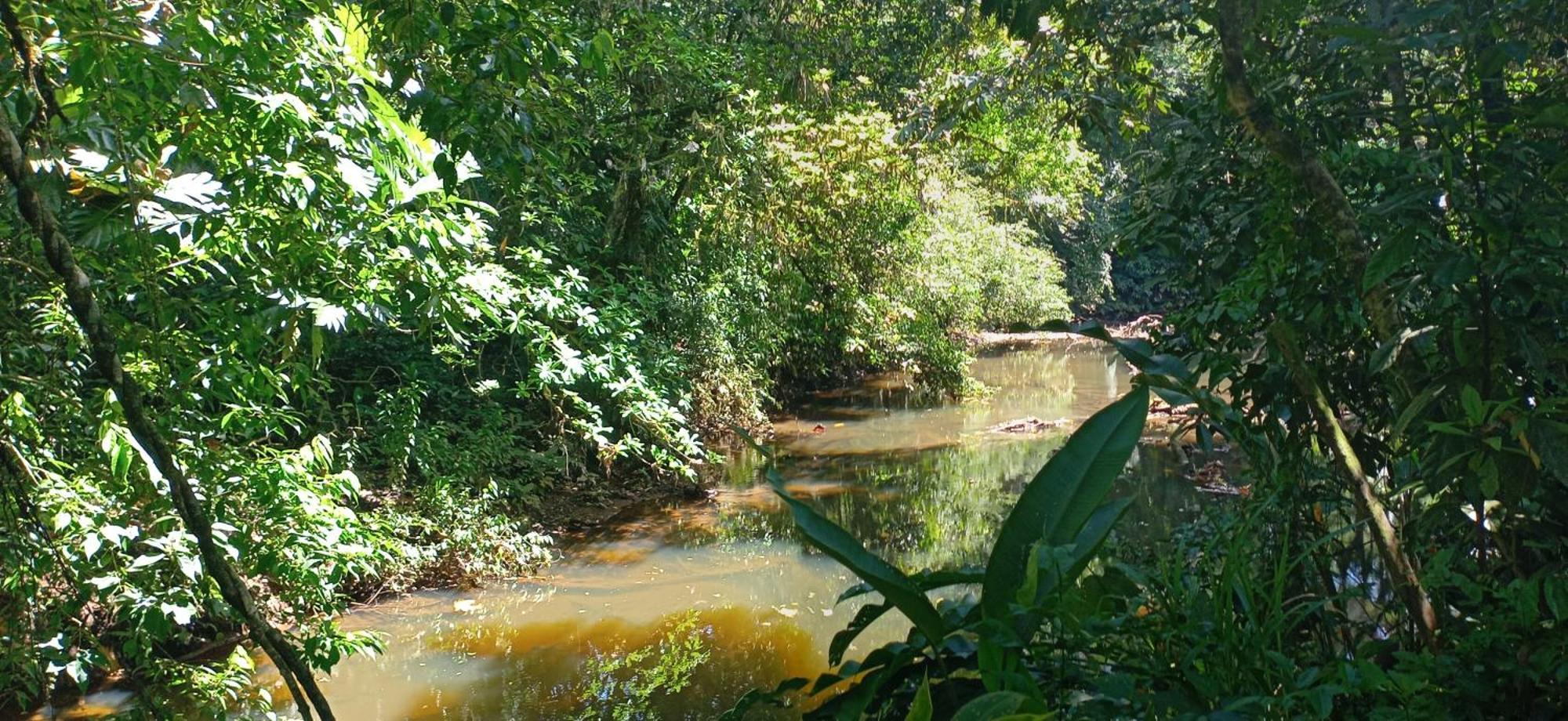 Finca La Paz - Sarapiqui Puerto Viejo de Sarapiqui Dış mekan fotoğraf