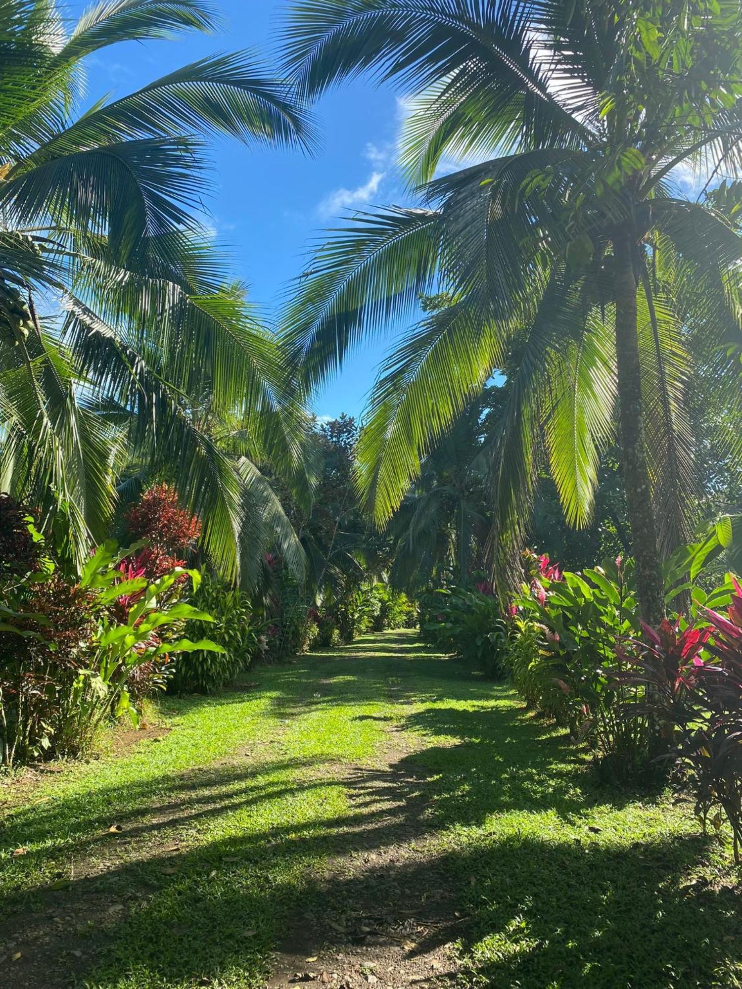 Finca La Paz - Sarapiqui Puerto Viejo de Sarapiqui Dış mekan fotoğraf