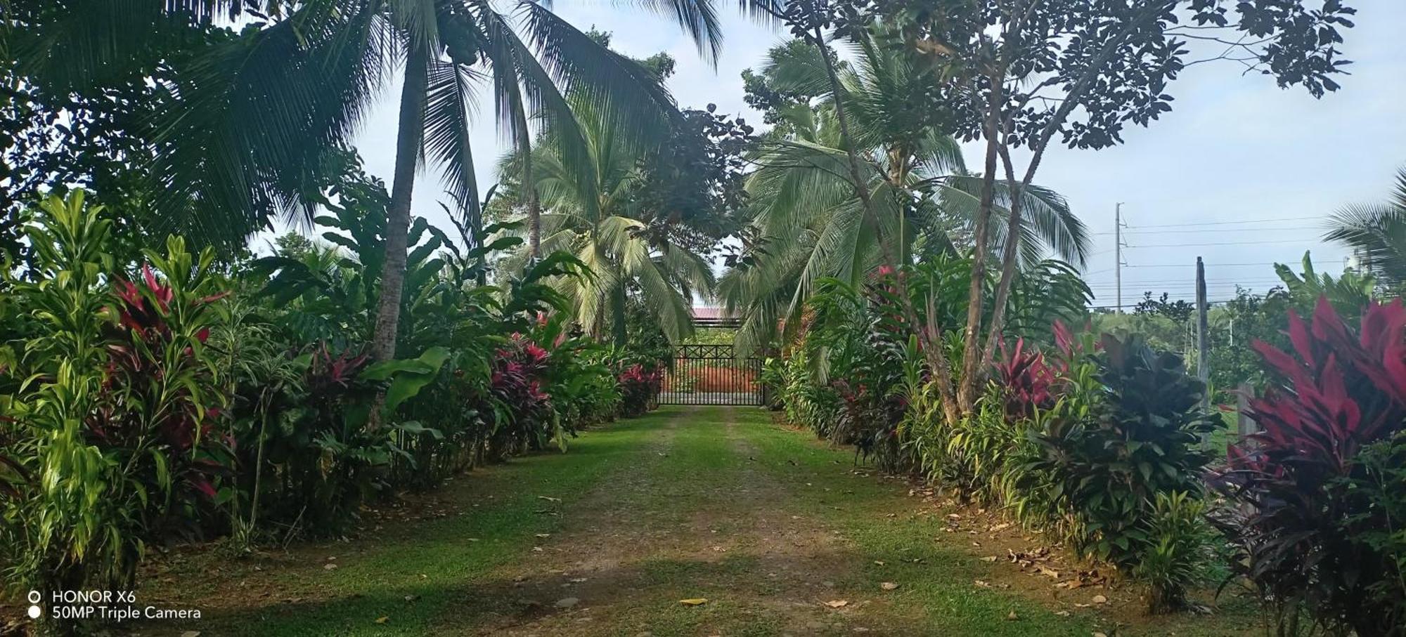 Finca La Paz - Sarapiqui Puerto Viejo de Sarapiqui Dış mekan fotoğraf